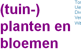 (tuin-)
planten en 
bloemen 